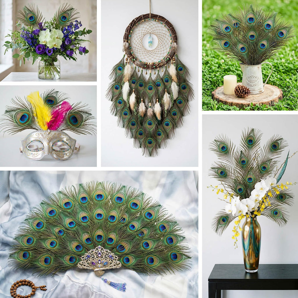 Piokio 50 Pcs Bulk Peacock Feathers, 10-12 inch