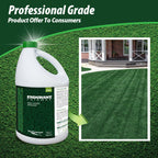 Endurant Turf Colorants - Fairway Spray On Green Grass Paint for Lawns - Revives Dry, Patchy Yards - Dark Grass Hue - Easy to Use, Concentrated Turf Grass Dye - Covers Approx 10,000 Sq Ft - 1 Gal