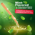 The Natural Dentist Stim-U-Dent Mint Dental Picks, Wooden Toothpicks for Food & Plaque Removal, Travel-Friendly, 48 Packs of 25 (2400 Picks)