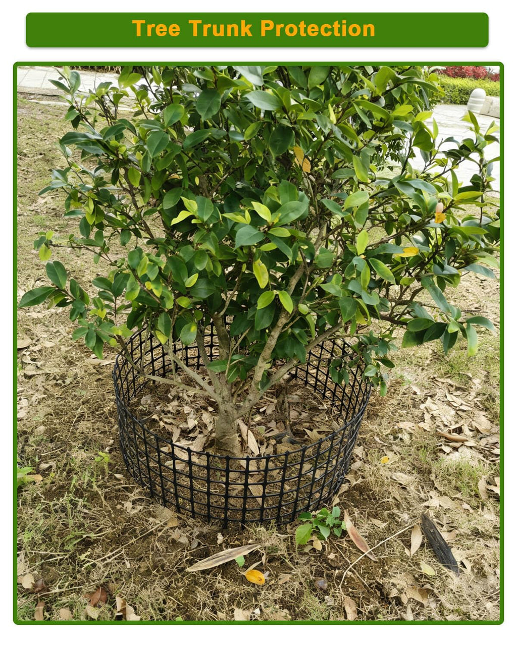 Chicken Wire Fencing - Plastic Chicken Wire Mesh Fence Netting for Garden