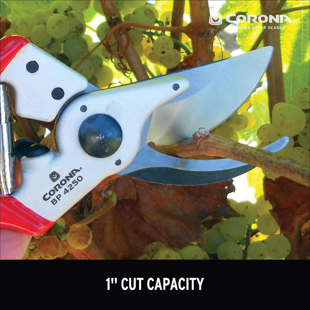 Corona Tools BP 4250 MAXFORGED Aluminum Bypass Pruner, 1-Inch Cut Capacity, Professional Hand Pruning Shears with Replaceable Steel Blade & Ergonomic Angled Head