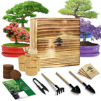 Bonsai Tree Starter Kit for Beginners - Indoor Live Plant Gardening Adult Craft DIY Kits - Unique Christmas, Birthday, White Elephant Gifts for Women, Men, Boys & Girls