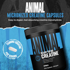 Animal Micronized Creatine Monohydrate Capsules - 300 Caps, 2500mg per Serving to Support Muscle Growth, Endurance, ATP Production, Cognitive Function, Strength, Recovery, and Delay Muscle Fatigue