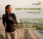 Evergreen Herbs Wereke Capsules - 90 Vegetable Capsules, 1350 mg Per Serving, Mexican Wereque Herb Supplement for, No Fillers, Binders, or Additives