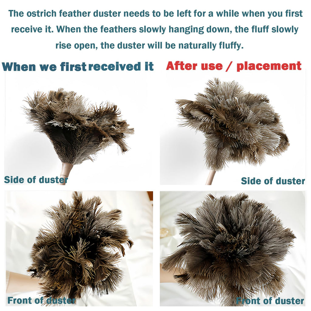 Ostrich Feather Duster for Cleaning-Furniture Dusters with Handle Ddzmz Hand Duster with Fluffy Natural Genuine Feather Reusable Household Duster, Gray and Brown(Length 16")