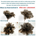 Ostrich Feather Duster for Cleaning-Furniture Dusters with Handle Ddzmz Hand Duster with Fluffy Natural Genuine Feather Reusable Household Duster, Gray and Brown(Length 16")