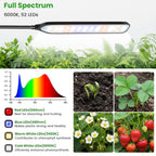 Garpsen Grow Light with Clip, Full Spectrum, Flexible Gooseneck, 2Pack