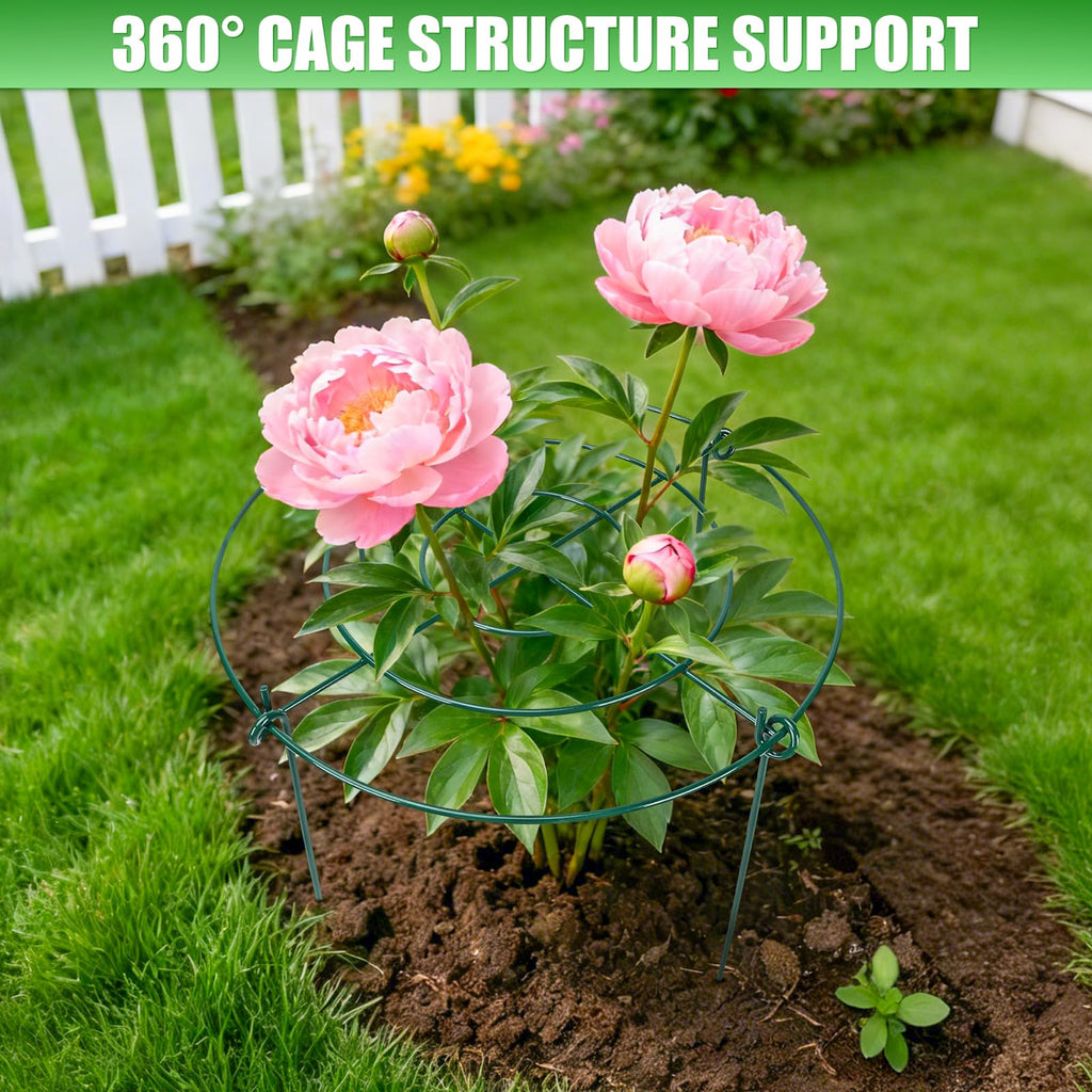 8 Pack Peony Cages and Supports, 11.5 x 20 Inch Plant Support Cage Set