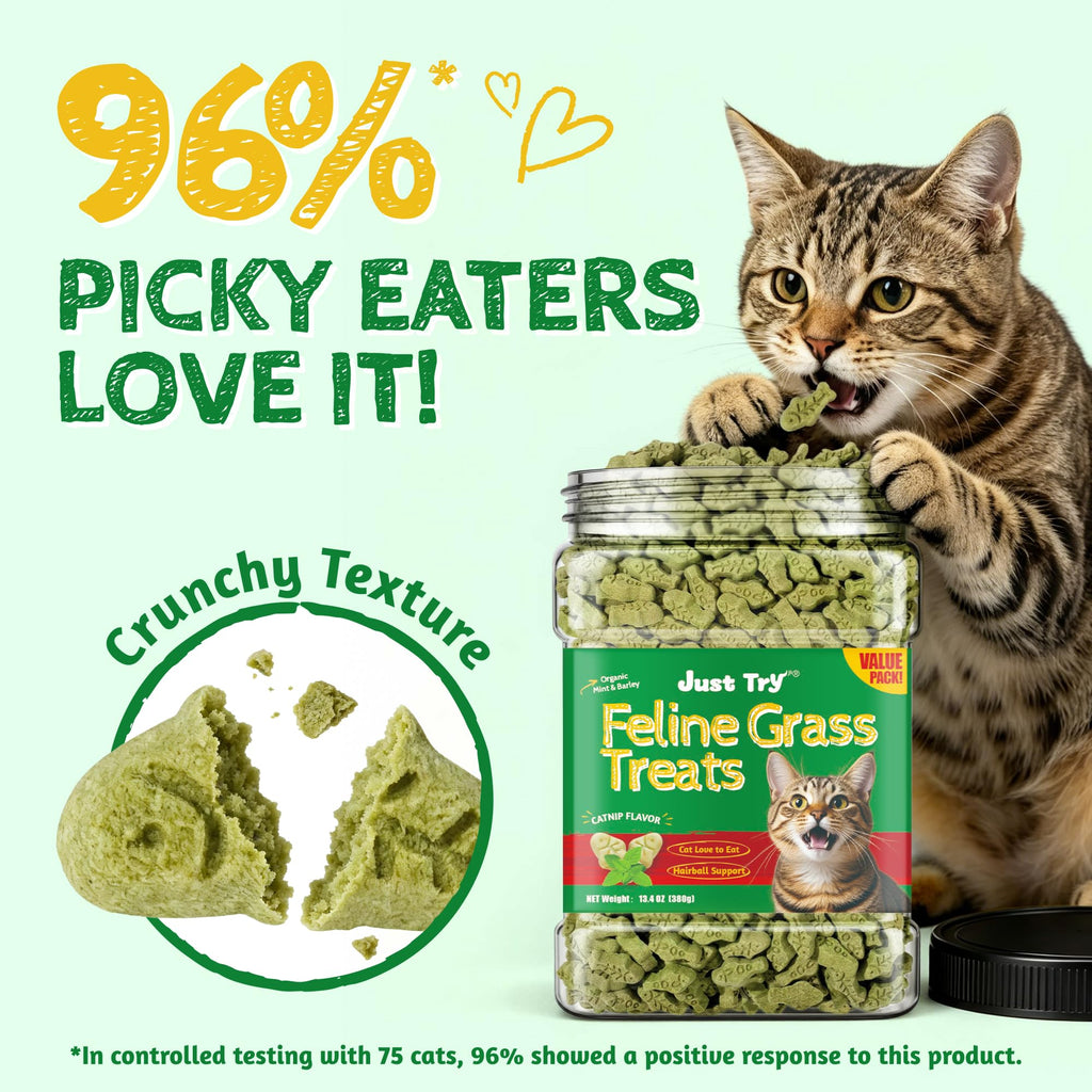 Just Try Cat Grass Treats for Indoor Cats Hairball Control 13.4 OZ