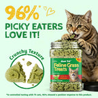 Just Try Cat Grass Treats for Indoor Cats Hairball Control 13.4 OZ