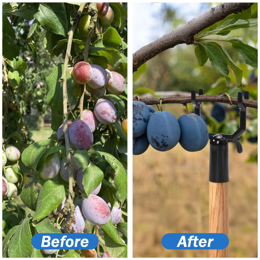 Coloch 20 Pack Metal Tree Branch Support, Y-Shape Tree Crutch Holders Plant Straightening and Leaning Kit Propping Up Branch Spreaders for Fruit Trees, Garden, Fit 0.75 in Round Pole