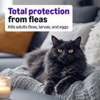 Amazon Basics Preventative Topical Flea Treatment and Prevention for Large Cats (Over 9 Pounds), Kills Fleas Within 12 Hours, 6 Count