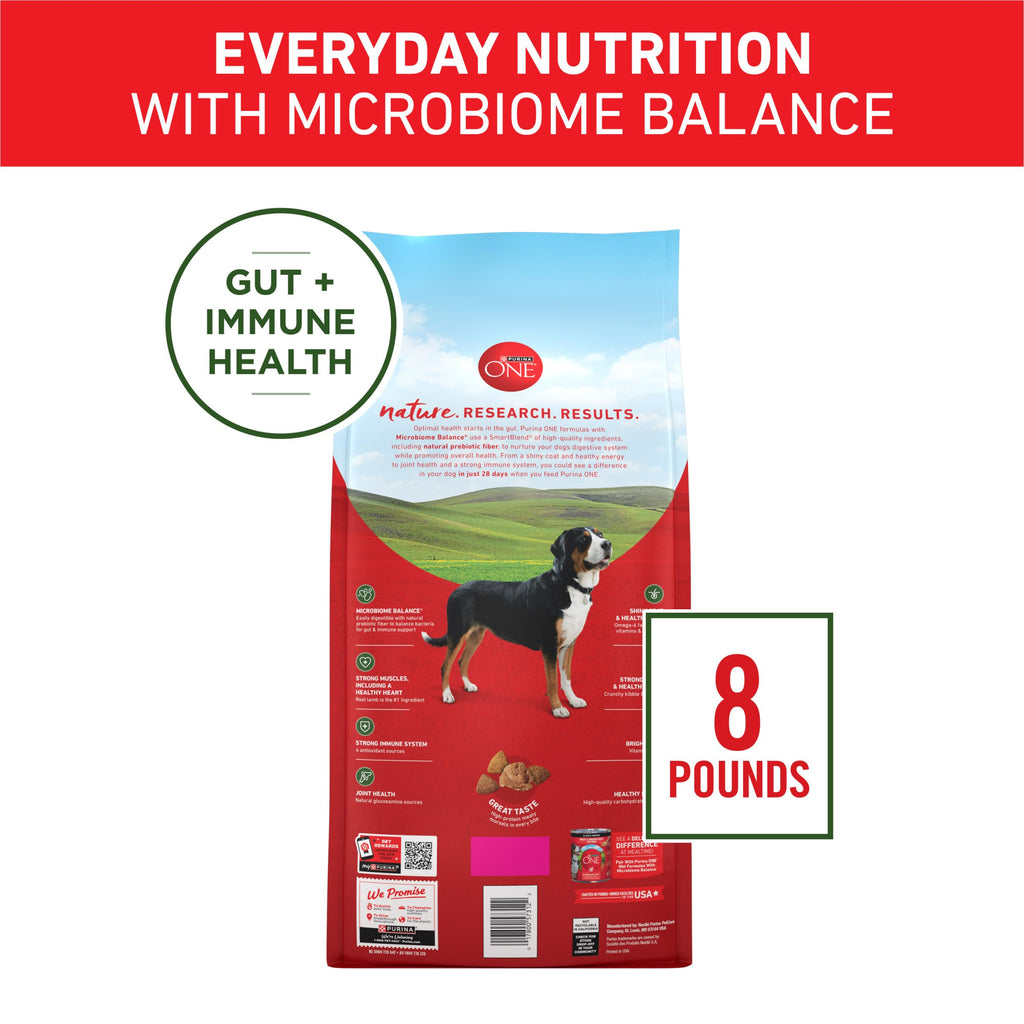 Purina ONE Lamb and Rice Dry Dog Food, 8 lb Bag
