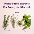 Fairy Tales Rosemary Repel Lice Shampoo, Conditioner & Spray Trio for Kids