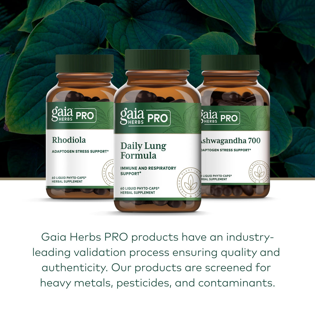 GAIA HERBS PRO Daily Lung Formula - Respiratory Health Support* - Immune Supplement with Mullein Leaf, Marshmallow Root & More - Vegan, Gluten-Free, Soy-Free - 60 Liquid Phyto-Caps (60 Servings)
