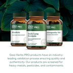 GAIA HERBS PRO Daily Lung Formula - Respiratory Health Support* - Immune Supplement with Mullein Leaf, Marshmallow Root & More - Vegan, Gluten-Free, Soy-Free - 60 Liquid Phyto-Caps (60 Servings)