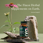 Gaia Herbs Echinacea Supreme - Immune Support Supplement - Echinacea Purpurea & Angustifolia Blend to Support Immune System* - 60 Vegan Liquid Phyto-Caps (30 Servings)