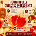 Gumitide Gummies, Made with Apple Cider Vinegar, BHB and Mineral Blend, Simple Chewable Format for Adults, Home Office and Travel, 60 Count (1 Pack)