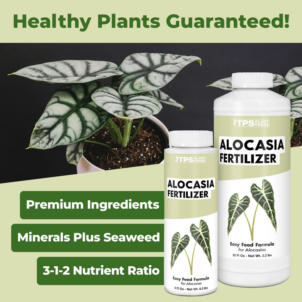 Alocasia Fertilizer, Complete Liquid Alocasia Plant Food, 32 oz (1 Quart)