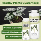 Alocasia Fertilizer, Complete Liquid Alocasia Plant Food, 32 oz (1 Quart)