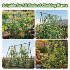 2 Pack Cucumber Trellis, 49.6"×49.6" Garden Trellis for Climbing Plants Outdoor, A-Frame Vegetable Trellis for Raised Bed, Support for Tomatoes, Squash, Zucchini, Vegetables