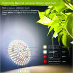 Lonwon Grow Light Bulb, Plant Light Bulb, E26 Grow Bulb Full Spectrum