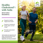 Terry Naturally Healthy Cholesterol with Amla - Supports Healthy Triglyceride Levels, Cardiovascular Health, Antioxidant - Non-GMO, Gluten-Free, Kosher, 60 Count (Pack of 1)