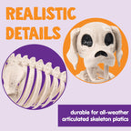 JOYIN Posable Halloween Dog Skeleton Full Body Posable Joints Realistic Skeleton Puppy with Movable Joints for Halloween Decoration, Graveyard Party Decor (9.8” X 4.7” X 12.6”)