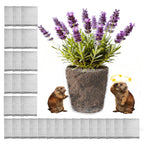 50 Pack 1 Gallon Gopher Baskets, Stainless Steel Root Protector Cages