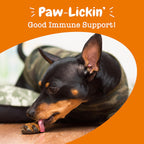 Zesty Paws Allergy & Immune Flavor Infusions for Dogs - with Omega 3 Salmon Oil for Sensitive Skin, EpiCor Pets, Colostrum & Quercetin - Supports Seasonal Allergies - Chicken Flavor - 16 fl oz