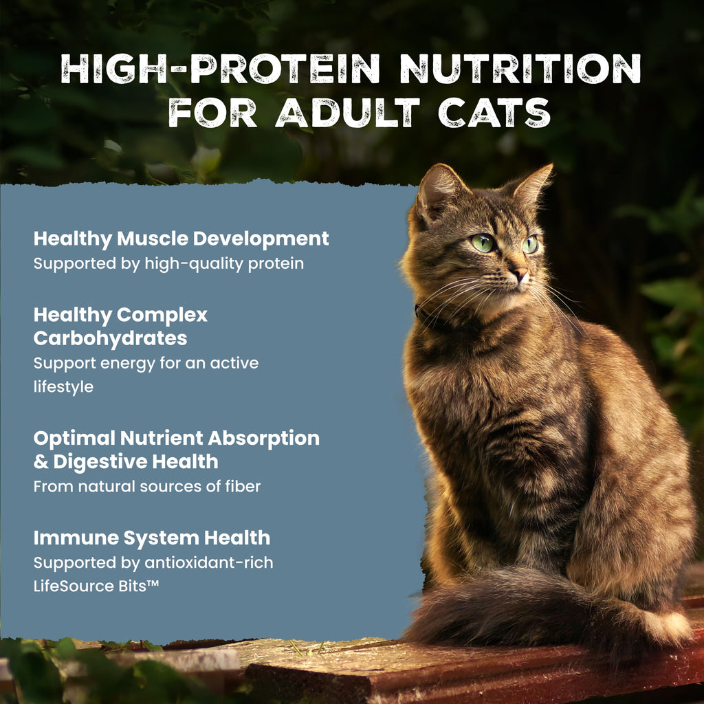 Blue Buffalo Wilderness Salmon Adult Dry Cat Food, Grain-Free, 5 lb