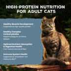Blue Buffalo Wilderness Salmon Adult Dry Cat Food, Grain-Free, 5 lb