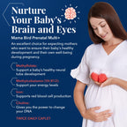 Mama Bird AM/PM Prenatal Multivitamin | Methylfolate (Folic Acid), Methylcobalamin (B12), 100% Natural Whole Food Organic Herbal Blend, Vegan, Twice Daily Vitamin, 60 Count ……