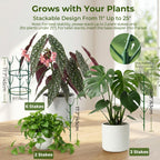 Monstera Plant Support Stakes Indoor - 10 Pack Stackable Garden Trellis for Potted Climbing Pothos Support - Durable All-in-One Tall Plant Sticks Pole for Modern Home Gardening (10 Pack)