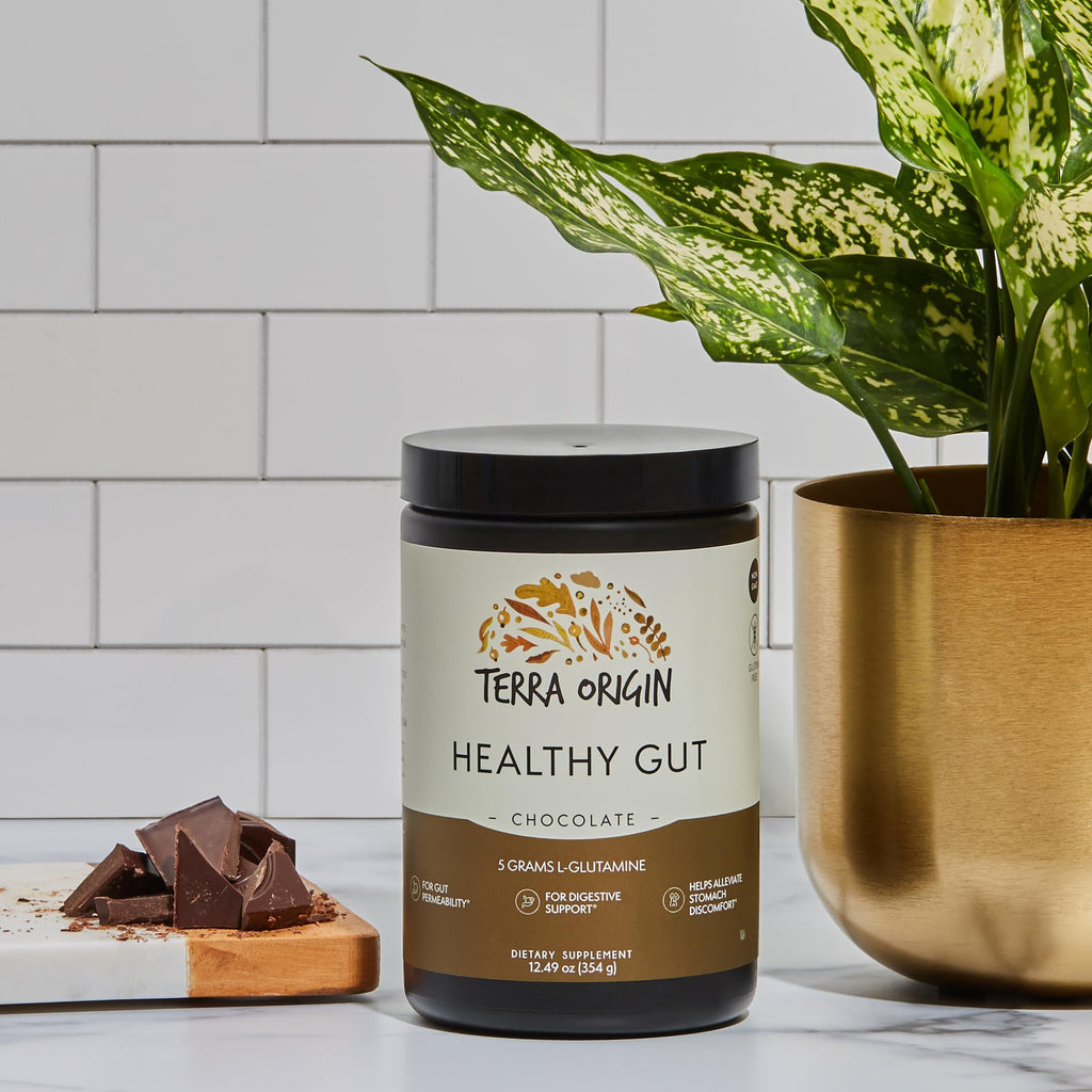 TERRA ORIGIN Healthy Gut Chocolate | 30-Servings with L-Glutamine, Zinc, Glucosamine, Slippery Elm Bark, Marshmallow Root and More!