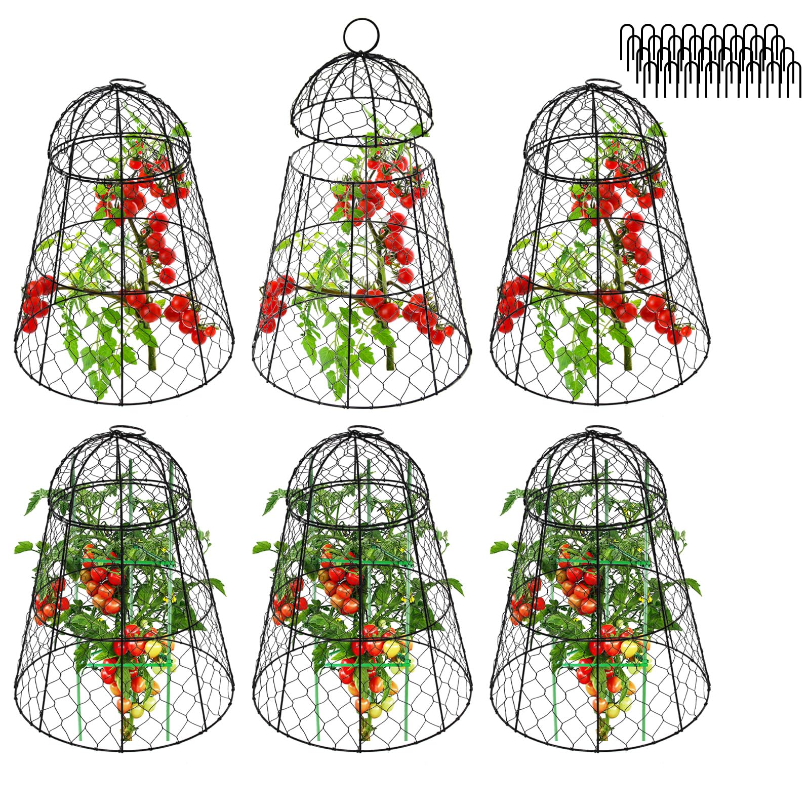 Tcomhk Garden Cloches for Plants - Set of 6 Chicken Wire Plant Cages and Plant Protectors from Animals, 17.7" H x 12.8" D, Outdoor Vegetable and Flower Cages, Sapbontchi Chicken Wire Cloche