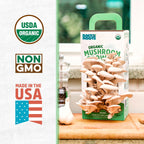 Back to the Roots Organic Oyster Mushroom Grow Kit, Harvest Gourmet Mushrooms In 10 Days