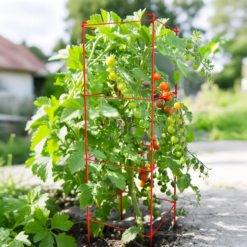 6-Pack Tomato Cage for Garden Plant Support- Up to 46inch