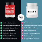 FloHydro Creatine Gummies | 5g Creatine in 2 Gummies | Zero Sugar Creatine Monohydrate | 3rd-Party Lab Tested | Clean Ingredients