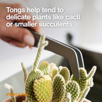 Fiskars 5-Piece House Plant Cultivating Tool Set for Indoor Gardening