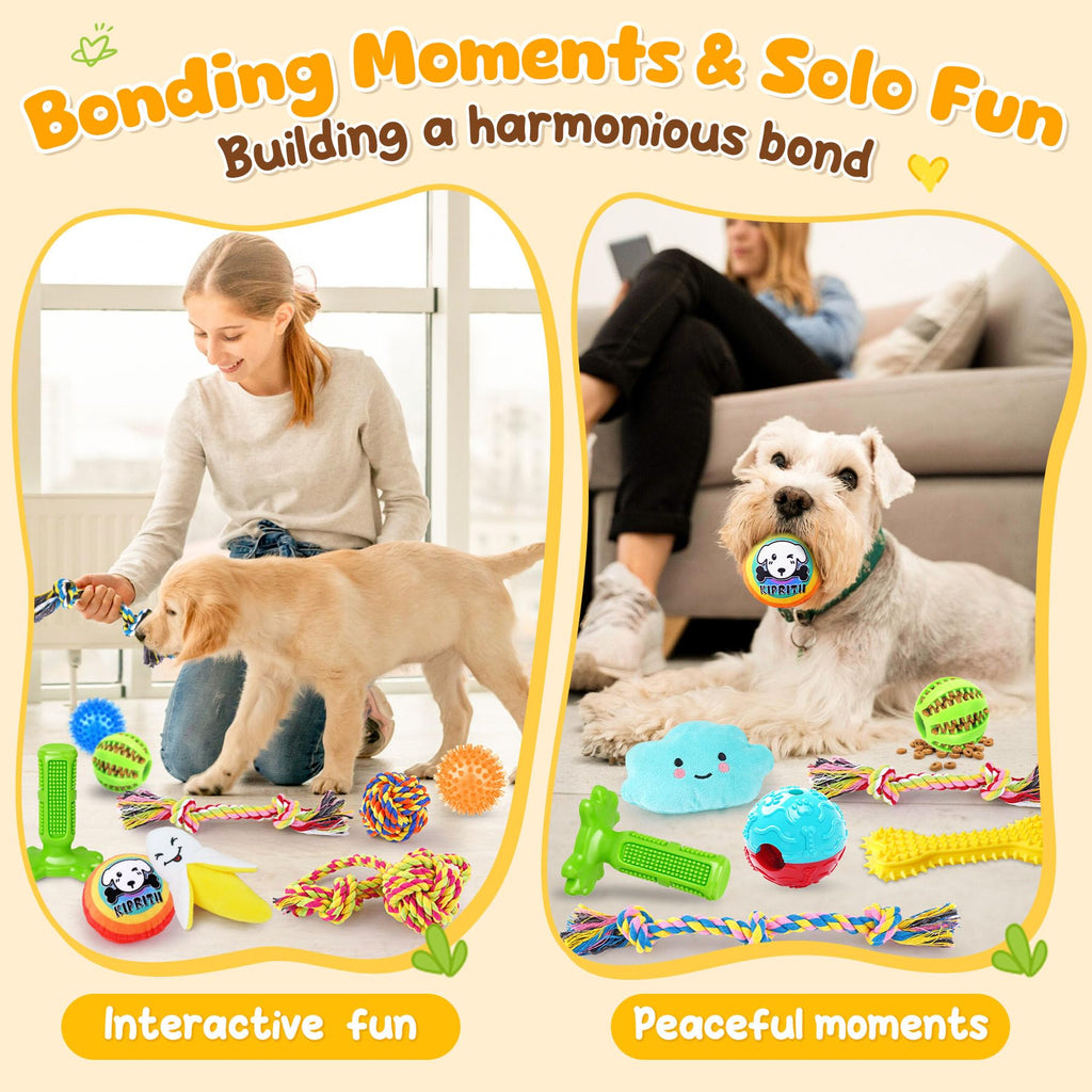 KIPRITII 25 Pack Various Dog/Puppy Toys Set for Small & Medium Dogs
