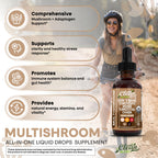 Organic Lions Mane Mushroom Supplement Liquid Drops + Turkey Tail Cordyceps Reishi Chaga Shitake Maitake Tremella Oyster Mushrooms Poria and Enokitake Complex Blend by Clean Nutra