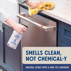 Aunt Fannie's Stainless Steel Spray Cleaner, Powered by Vinegar, Fingerprint and Residue Remover for Refrigerator, Dishwasher, Oven, Grill, Sink, Stovetop, and Other Appliances, Pack of 6
