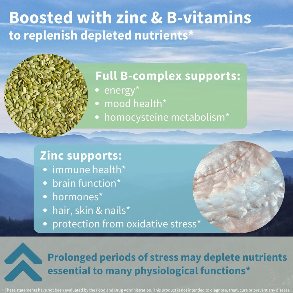 Igennus High Strength Ashwagandha, Magnesium, & L-Theanine Stress Relief Complex, KSM-66 Root Extract Adaptogens, Boosted with Methylfolate, Zinc & Biotin Clean Label, 60 Fast Acting Capsules