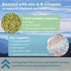 Igennus High Strength Ashwagandha, Magnesium, & L-Theanine Stress Relief Complex, KSM-66 Root Extract Adaptogens, Boosted with Methylfolate, Zinc & Biotin Clean Label, 60 Fast Acting Capsules