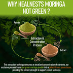 Pure Moringa Extract Capsules – 20:1 (20,000 mg) Potent Formula – Vegan Superfood Supplement with Vitamins & Minerals – Energy, Immunity, Digestion & Mood Support – 120 Capsules – Non-GMO, Gluten-Free