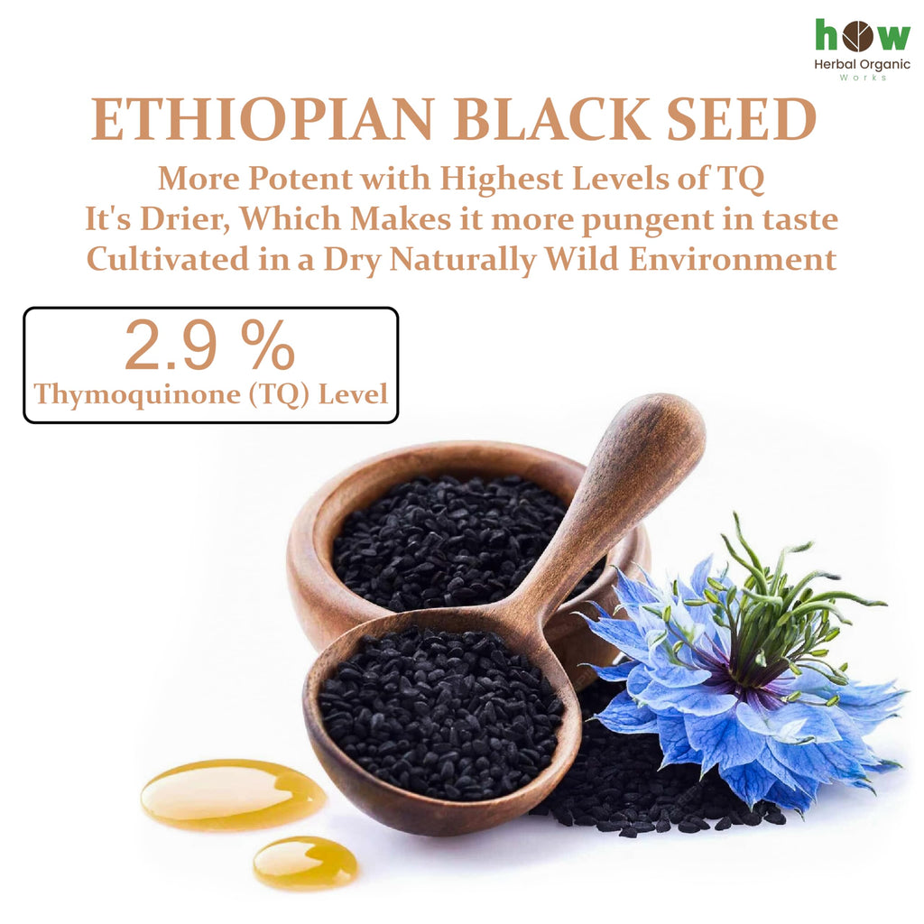 Ethiopian Black Seed Oil 16oz – Cold Pressed Nigella Sativa | High Thymoquinone 3.45% Black Cumin Seed Oil | 100% Pure Unrefined Liquid | Immune, Skin, Hair & Digestive Support | Large Glass Bottle