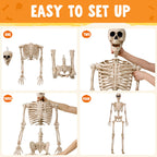 JOYIN 5 FT Halloween Skeleton Life Size, Stayable Posable Skeleton Decor, Full Body Movable Joints Giant Skeletons for Halloween Decoration Outdoor, Haunted House Prop, Spooky Scary Graveyard Party