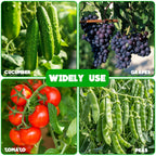 No Assembly Required Cucumber Trellis,2 Pack Trellis for Cucumbers,Outdoor Raised Bed Climbing Plant Support,A-Frame Garden Frame,Used for Vegetables,peas,Tomatoes,Squash,Melon and Fruit Frame