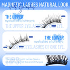 Magnetic Eyelashes Half Lashes Magnetic Eyelashes with Applicator Cat Eye Lashes Natural Look No Glue Needed False Eyelashes Wispy Magnet Lashes with Clamp by Eefofnn
